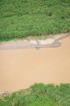 Hippos along the river