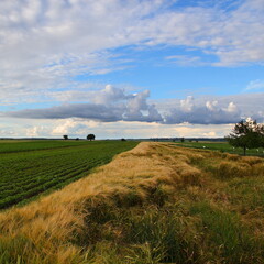 Summer landscape in Serbia, Europe