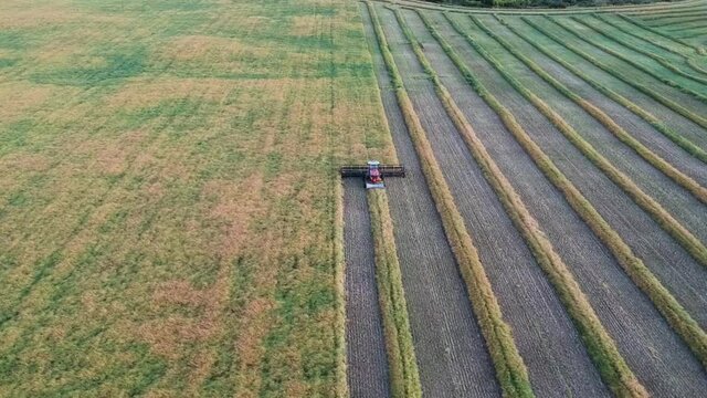 Swathing and Harvesting Canola