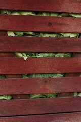Wooden boxes with cabbage in the warehouse