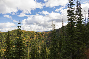 Forest and cloudscape over Glacier National Park, Montana