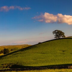 Fototapeta premium Yorkshire Dales