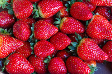 Erdbeeren