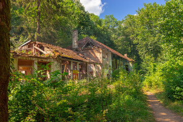 Fototapeta na wymiar ruins of house in the woods
