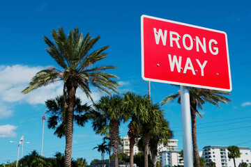 Wrong Way street sign alert, road warning on red color, with palm trees and buildings background, on blue clear sky sunny tropical day