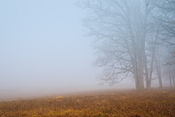 Fototapeta na wymiar Foggy winter morning on the Gettysburg National Military Park in Gettysburg, PA, USA.