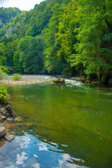 mountain river in the forest