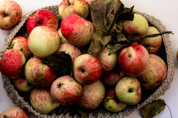 lots of juicy delicious sweet apples in a basket on a light background