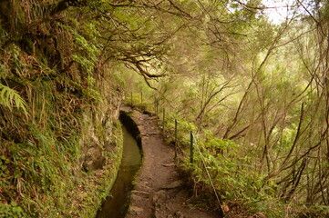 Hiking along the coast, by the waterfalls and in the green levadas of Madeira Island in Portugal