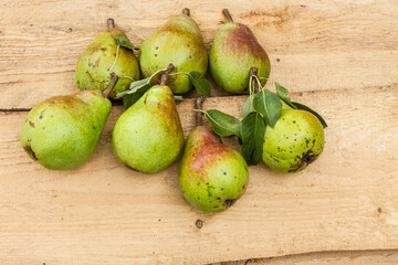 Group of pears on boards
