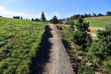 Single track lub singletrack ścieżki rowerowe w Krynicy Zdrój
