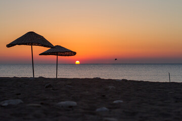 wicker umbrellas and a bird on the beach at sunset