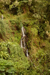 Hiking on the green paths of the levadas and waterfalls on Madeira Island in Portugal