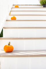 Pumpkins on staircase