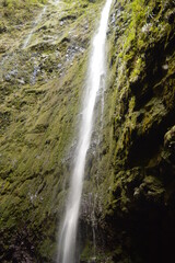 Fototapeta premium Hiking on the green paths of the levadas and waterfalls on Madeira Island in Portugal