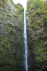 Obraz premium Hiking along the coast, in the mountains and along the levadas of Madeira Island in Portugal