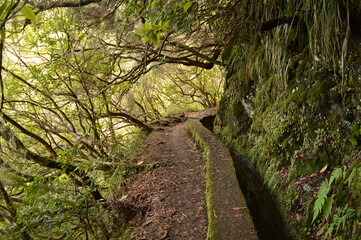 Hiking along the coast, in the mountains and along the levadas of Madeira Island in Portugal