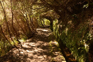 Hiking along the coast, in the mountains and along the levadas of Madeira Island in Portugal