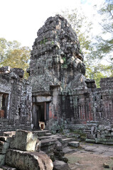 Incredible stone ruins of ancient Khmer temples at the Angkor Wat complex in Siem Reap, Cambodia