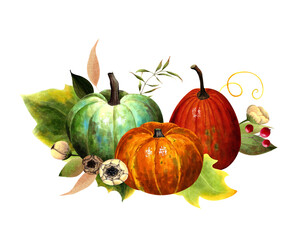 Fall arrangements with pumpkins, leaves, flowers, berries. Hand drawn illustration