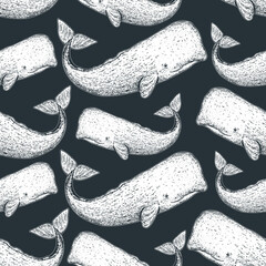 Sperm whale seamless pattern. Hand drawn sketch style. Cachalot vector illustration. © DiViArts
