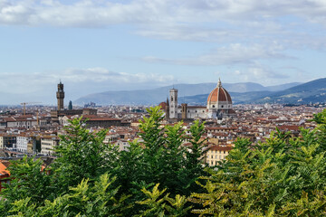Obraz premium Florence view.