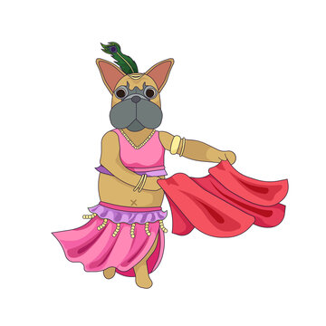 Cute French bulldog is dancing arabic or belly-dance on white isolated background, vector illustration in Cartoon style, concept of the Near East and Araby, Dancing and Hobby, also Pets.