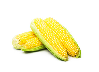 Sweet corn  isolated on white background