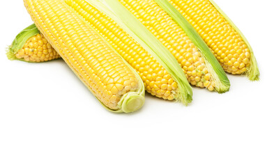 Sweet corn  isolated on white background