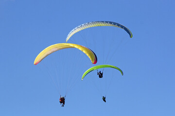 Paragliders flying wings in a blue sky	