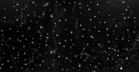 Water drops on black background, texture, bokeh in the background