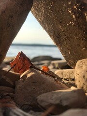 rocks on the beach