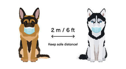 Keep safe distance two meters or six feets.  Coronavirus infection spreading prevention information sign with animals wearing protective face masks. Husky and german shepherd