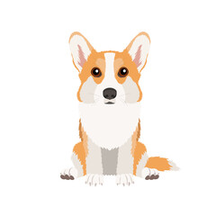 Vector portrait of sitting Pemroke Welsh Corgi isolated on white background	