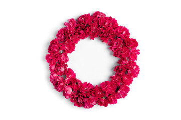 Composition of flowers. Frame of colored carnations of flowers ion circle shape, top view, copy space. Carnations flower blossom wreath.