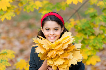 Beauty in autumn style. girl gather yellow maple leaves. kid in park. fall is a time for school. good weather for walking outdoor. child hold autumn leaves. beauty of nature. happy retro girl