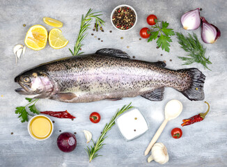 fresh trout with spices and seasonings top view, flat lay