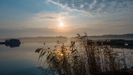 Foggy sunrise over the sea with a silhouette of the naturally growing plants near the seaside. A perfect balanced image with calm waters, fog over the water and some broken clouds. 
