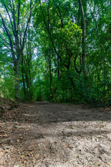 National Park de Hoge Kempen - de Teut (English Hoge Kempen - de Teut) with a beautiful views on the heather and dramatic sky which has amazing possibilities for an outdoor lifestyle
