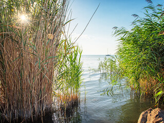 Sailboat with reed at lake Balaton, Hungary