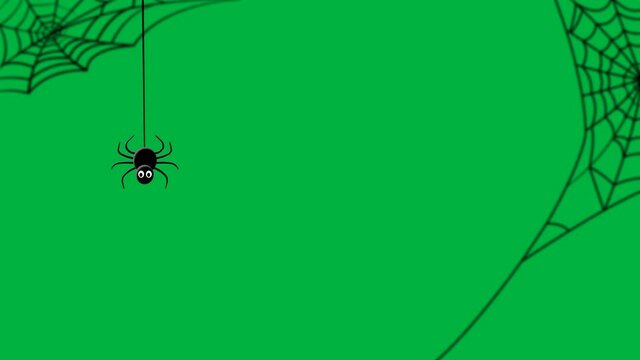 Spider and web for green screen and Halloween overlay continuous creepy loop