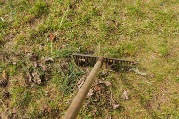 rake for cleaning foliage on green grass/leaf harvesting season with rakes against grass background