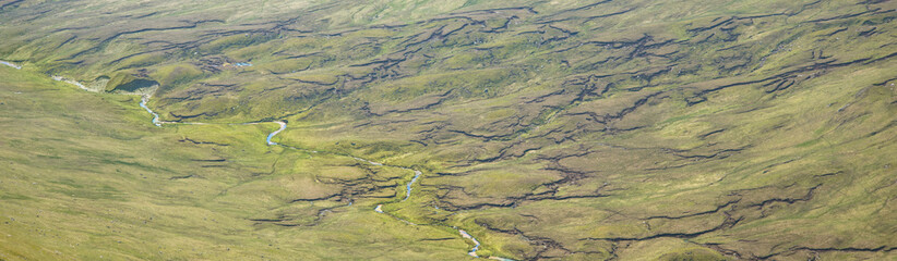 Top view of the river with turns of meanders and green wild heather meadow in bright sunlight.