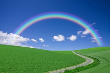 虹と草原の中の一本道