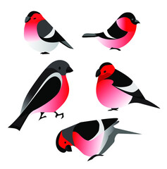 Colored bullfinches, set of 5 birds in flat style