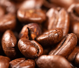 Macro view of freshly roasted coffee beans.