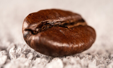 Macro view of single coffee bean.