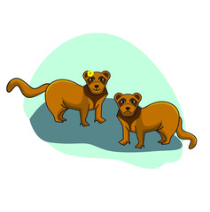 Two ferrets - male and female. Animals illustration in flat style