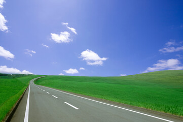 草原の中の一本道