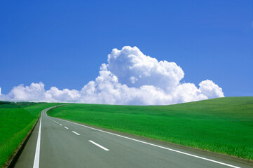 草原の中の一本道